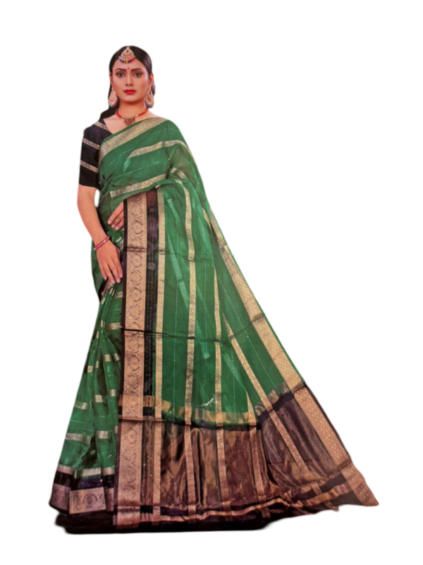 Image 2024-07-25 at 19.36.26 (1) Model Wearing Organza Sequence Work Green Saree with Zari Border