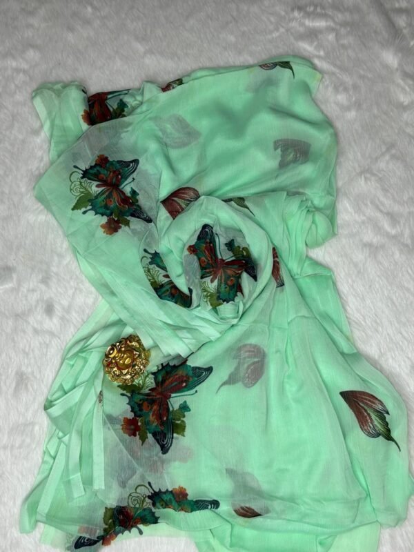 Image 2024-07-26 at 22.00.27 (3) Georgette Pale green Saree in Stunning Butterfly Design Top view