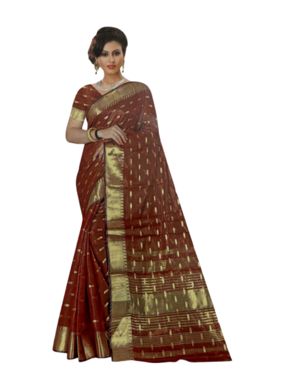 Image 2024-07-26 at 23.44.18 Model wearing Crush Tissue Silk Saree with Elegant Organza Border