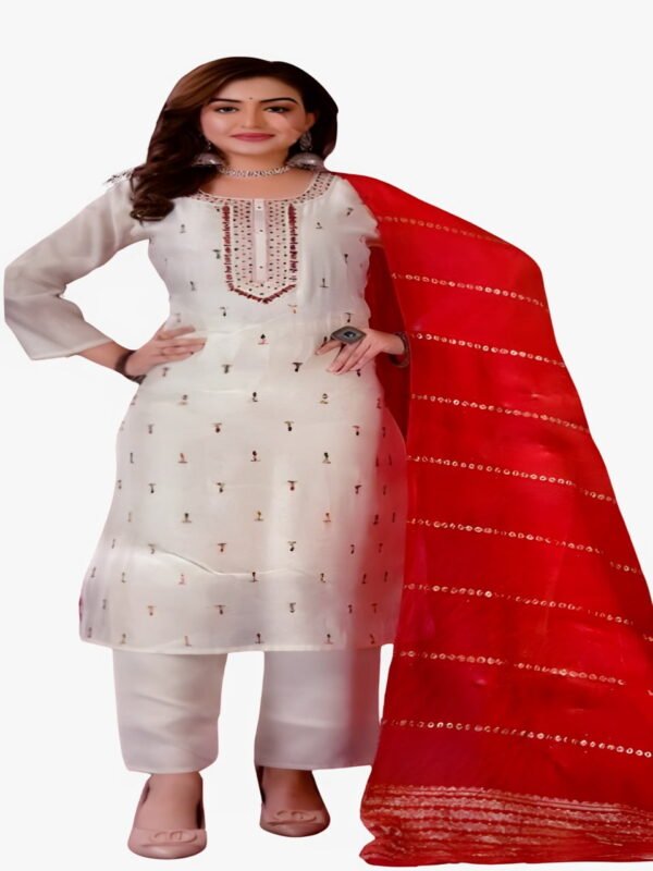 Image 2024-08-17 at 20.42.09 (11) roman silk with inner cotton chikankari multi thread embrodiery sequence full photo