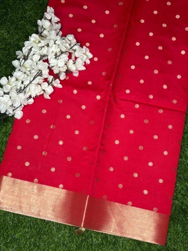 Image 2025-03-22 at 21.18.52 Nayanthara Mam - Inspired Banarasi Saree showing full saree