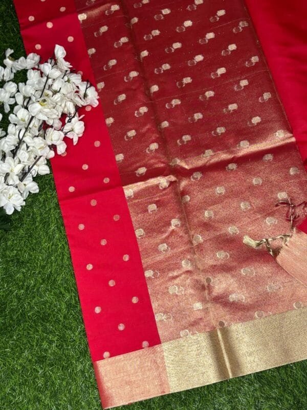 Nayanthara Mam - Inspired Banarasi Saree, showing pallu
